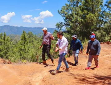 Medio Ambiente cierra finca cafetalera de La Ciénaga de Manabao, por varios ilícitos 