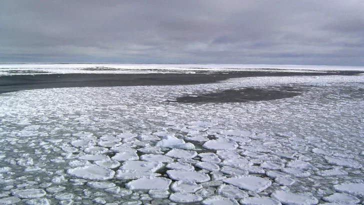 La superficie de la banquisa antártica cae en niveles 'extraordinariamente anómalos'