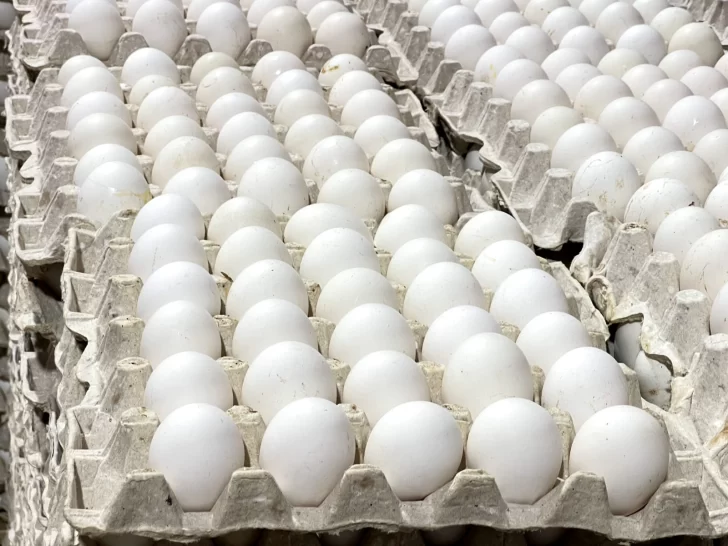 En estos supermercados podrás comprar los huevos de Inespre a 100 pesos