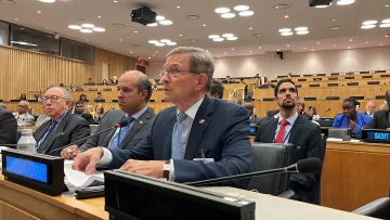 Canciller pide al Consejo de Seguridad urgente mandato amplio a fuerza multinacional
