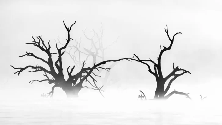 c09a2051cc6b76926100073b1bc5c8db-728x410