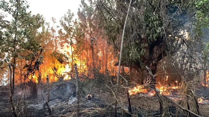 Bomberos forestales luchan por controlar incendio en área recreativa Loma Guaigüí