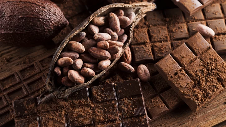 El FEDA ejecuta proyectos para elevar la producción y el consumo de cacao