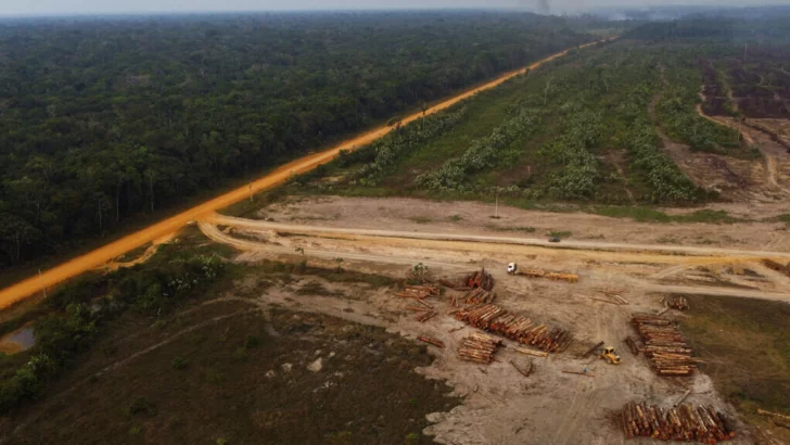 Aumenta la deforestación a pesar de los compromisos internacionales