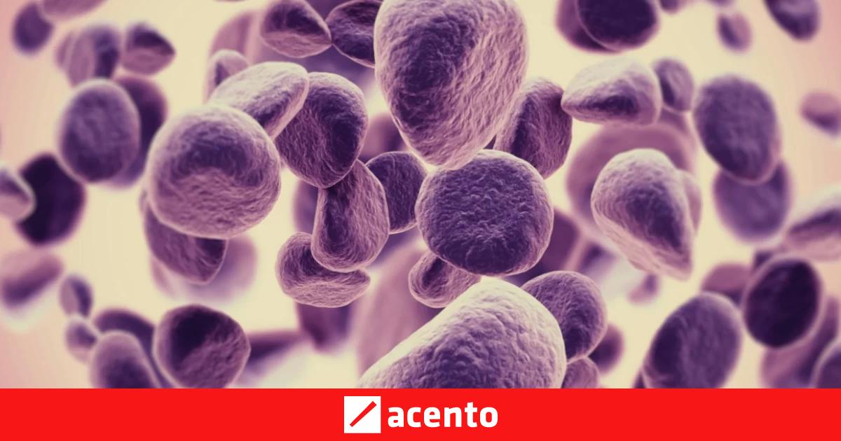 Resaltan Valor De La Terapia Con Los Anticuerpos Biespecíficos Para Resaltan Valor De La Terapia Con Los Anticuerpos Biespecíficos Para