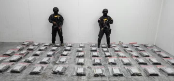 DNCD confisca otras 591 láminas de cocaína ocultas en cajas de guineos