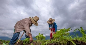 Siembra-en-el-campo.