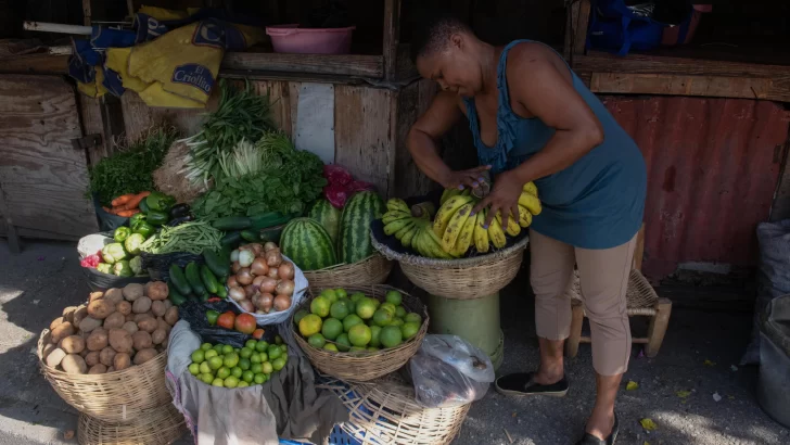 República Dominicana y Haití, a punto de reabrir el comercio tras casi un mes de bloqueo