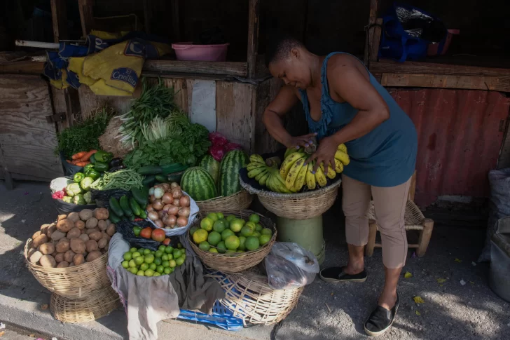 República Dominicana y Haití, a punto de reabrir el comercio tras casi un mes de bloqueo