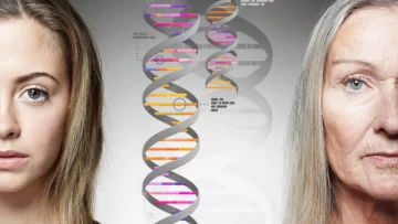 Qué son los 'genes saltarines' y por qué pueden ser clave para frenar el envejecimiento