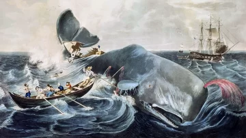 Moby Dick y la verdad sobre la historia que inspiró la aclamada novela de Herman Melville