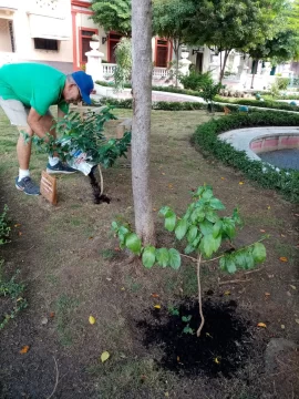 Jardineria-546x728