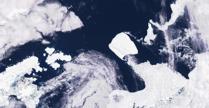 Estudio con pulpos revela último colapso de capa de hielo antártico