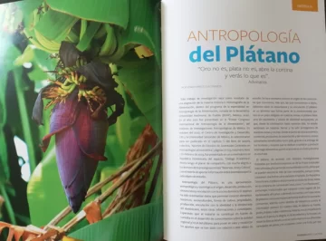 Articulo-Antropologia-del-Platano-Revista-Reservas-Arte-y-Cultura.-Julio-2023.jpg