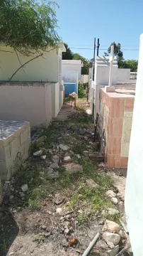 Cementerio-de-Pedernales-antro-de-drogadictos-delincuentes-y-de-sexo-sobre-tumbas-2-409x728