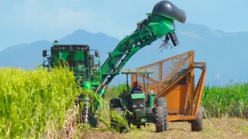 Central Romana recertifica su producción azucarera