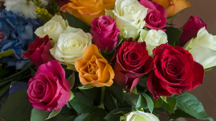 Elegía por la muerte de una rosa Elegía por la muerte de una rosa
