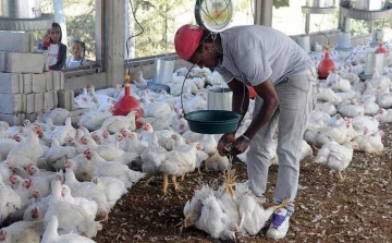 ADA expresa desacuerdo a proyecto de ley de tasa cero