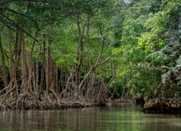 Patrimonio natural y su relación con la cultura