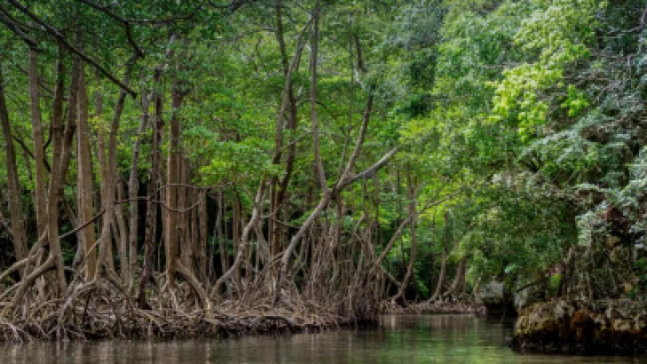 Patrimonio natural y su relación con la cultura