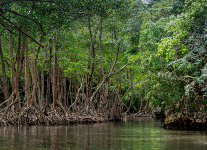 Patrimonio natural y su relación con la cultura