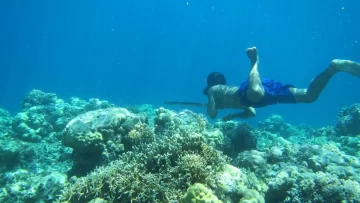 Los bajau: el pueblo que evolucionó para vivir más tiempo bajo el agua