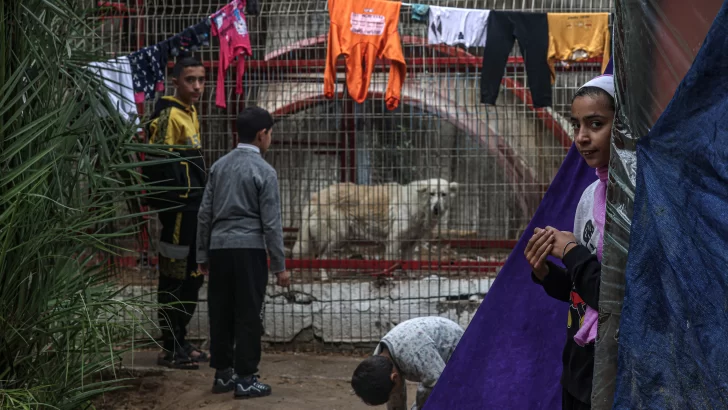Los animales también pasan hambre en el zoológico de la asediada Gaza