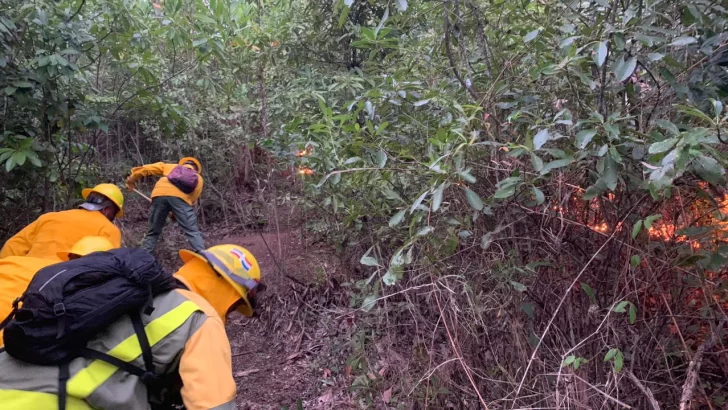 Bomberos forestales combaten un incendio en Loma Novillero