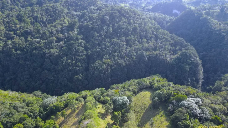 II Foro de Finanzas Climáticas y de la Naturaleza reúne a líderes nacionales e internacionales en Río de Janeiro