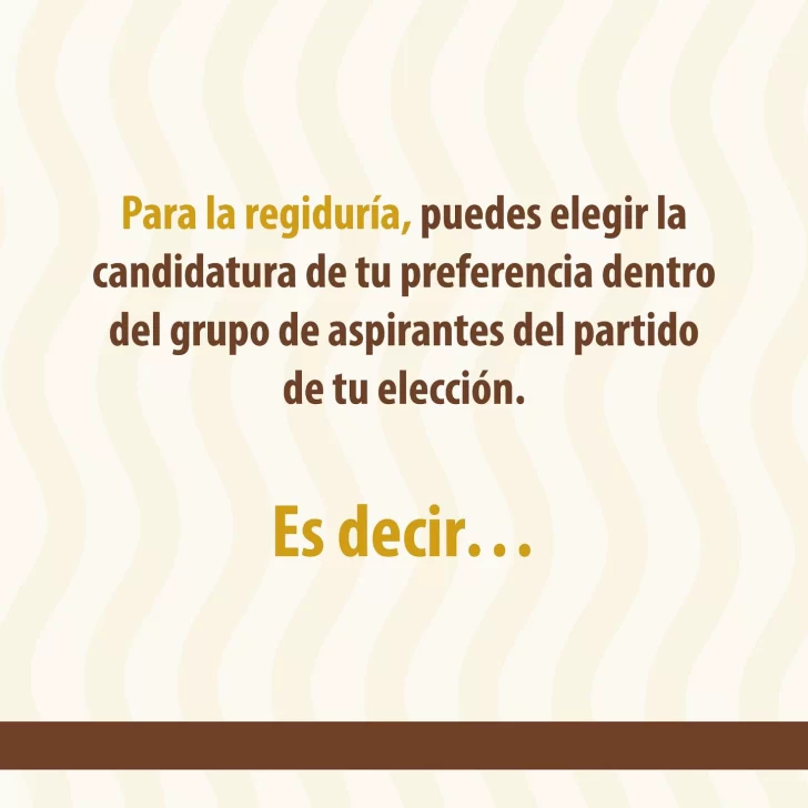 Elecciones-municipales-2024-Qué-es-y-cómo-funciona-el-voto-preferencial-2-728x728