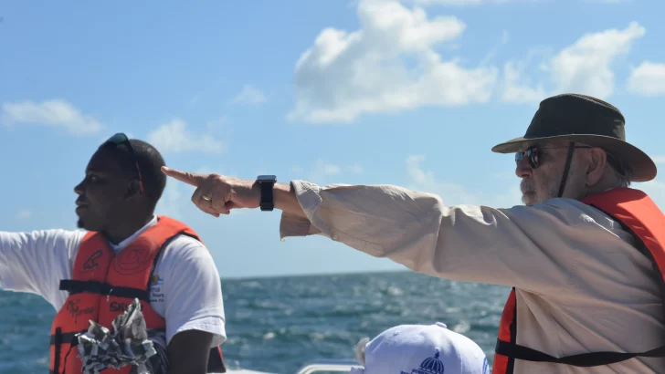 Desarrollan con periodistas jornada sobre protección de las ballenas jorobadas