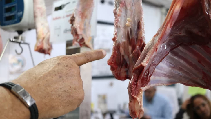 República Dominicana bloquea entrada de carne de cerdo desde España tras brote de PPA República Dominicana bloquea entrada de carne de cerdo desde España tras brote de PPA