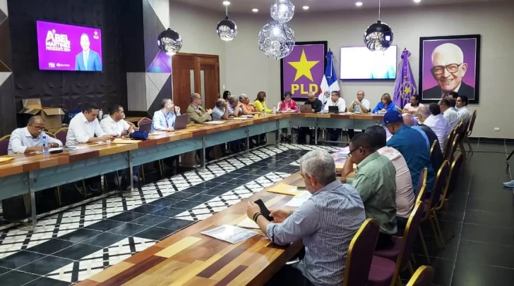 PLD realiza capacitación de delegados ante los Colegios Electorales