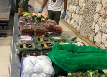 Decomisan kilos de frutas y vegetales a Julio Iglesias en Aeropuerto de Punta Cana