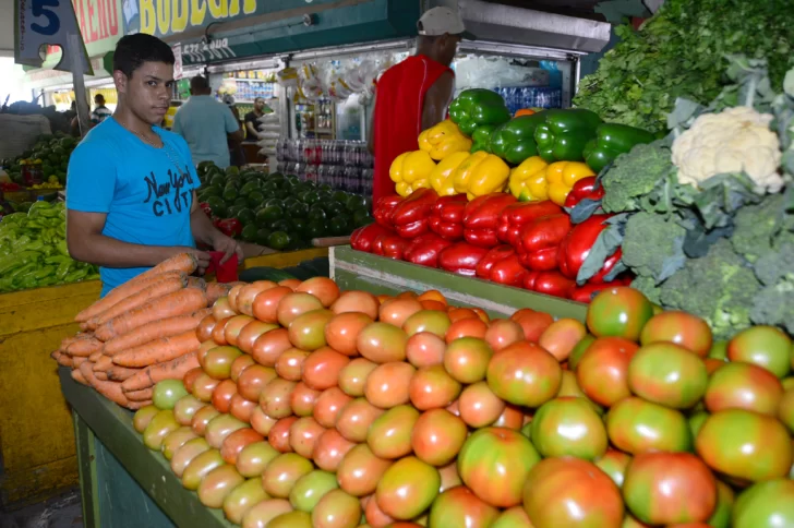 Los precios mundiales de los alimentos cayeron un 13,7% en 2023