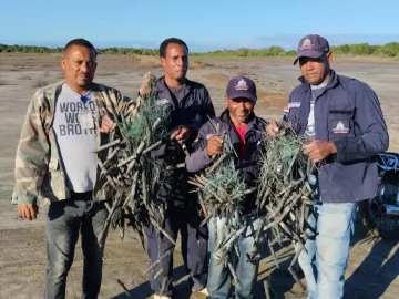 Medio Ambiente descubre y retira más de 200 trampas para capturar flamencos