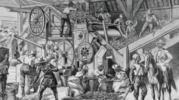 Qué fue la sacarocracia y cómo influyó en el florecimiento de la esclavitud en las colonias del imperio español en América Latina