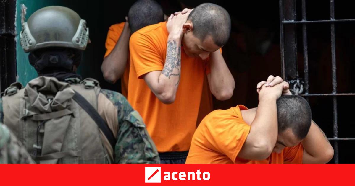 4 cambios que muestran cómo se ha transformado el crimen organizado en ...