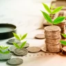 PNUD ve oportunidad en los bonos sostenibles ante encarecimiento de financiación externa