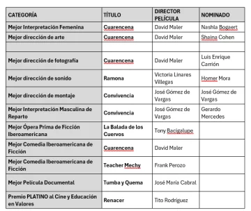 Cuadro-Nominaciones-Premios-Platino-2024