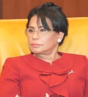 La persona constitucionalmente concebida