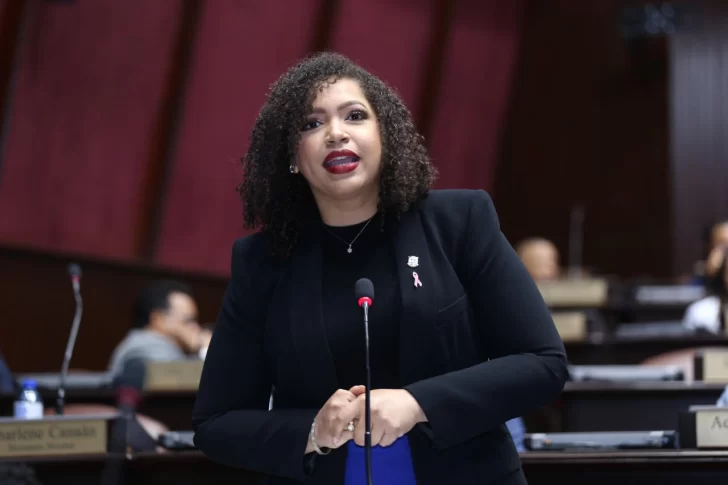 Diputada Juliana O´Neal dice Abinader debió de hablar de casas de acogida para pacientes con cáncer