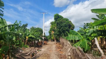 Edesur electrifica bombas para irrigar 5,000 tareas de tierras agrícolas en Estebanía, Azua