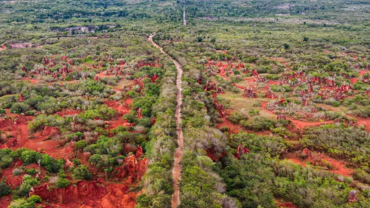 Las aguas de Pedernales y las tierras raras en la geopolítica mundial