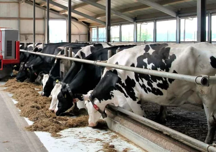 Vaticinan 'significativo' incremento de la producción nacional de leche