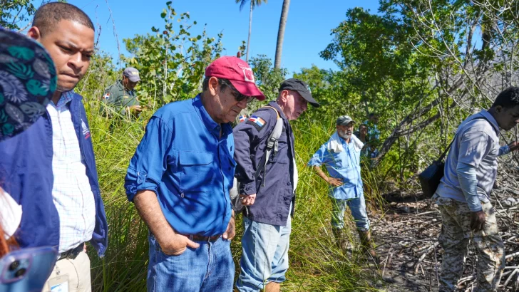 Trabajos de construcción afectaron 223 tareas del manglar de El Estillero en Samaná