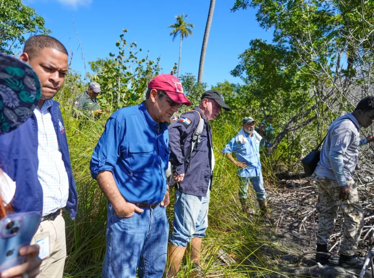 Trabajos de construcción afectaron 223 tareas del manglar de El Estillero en Samaná