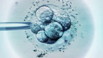 La controvertida decisión judicial en EE.UU. que considera que los embriones congelados son niños (y los efectos que está teniendo)