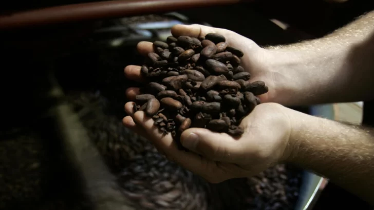 El cacao, más caro que el cobre por primera vez en la historia