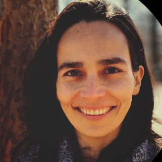 Fuerza de Supresión de bandas en Haití: riesgo y oportunidad para RD